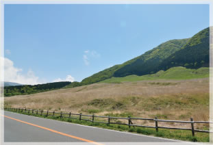 自然も芸術も、楽しみ方さまざま