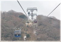 箱根湿性花園