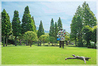 箱根ロープウェイ